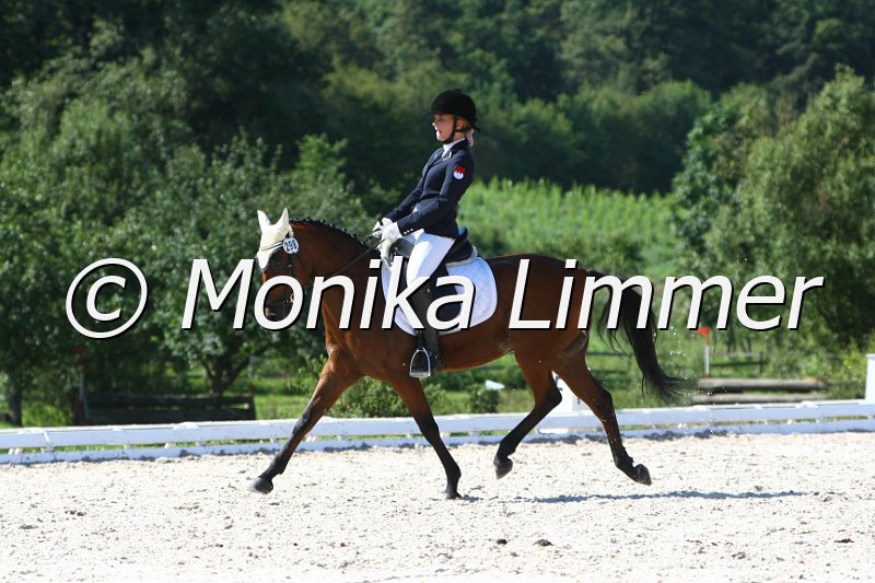 109M7120_Notre Garcon_Dressur L_Mannschaft.JPG